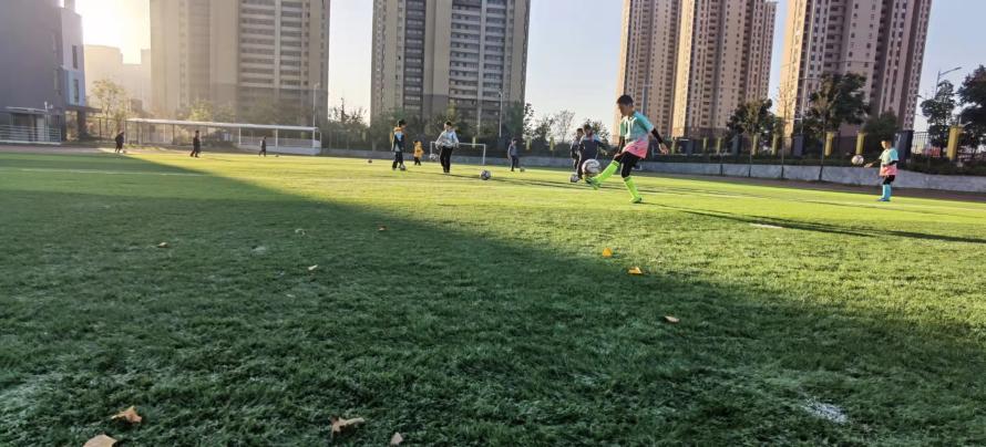 12.20区长杯_html_m7898b762.jpg