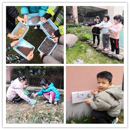 迈幼一分园3月12日植树节报道 （最终版本）_html_m712dd9ab.jpg