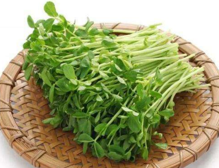 【生命迈幼.安全第一】健康饮食，快乐成长_html_7d2ec6d3.png