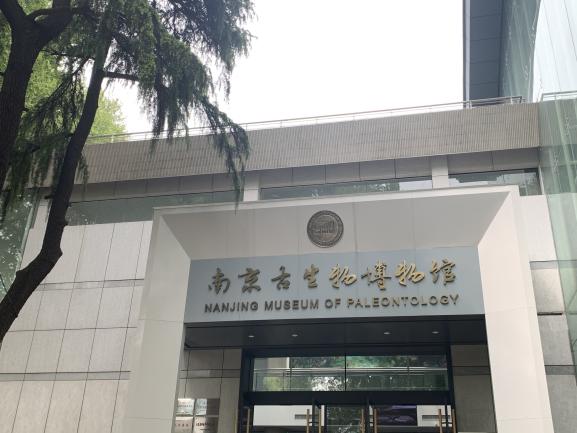 2021.4.19 左琳琳 走进南京古生物博物馆_html_m5ab83fdc.jpg