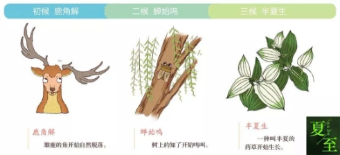 2020.6.21 刘素洁 二十四节气—夏至_html_m6379d25b.jpg