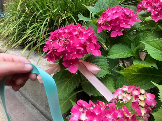 2020.6.5 高菲 芒种新闻稿_html_m4f1c6f06.jpg