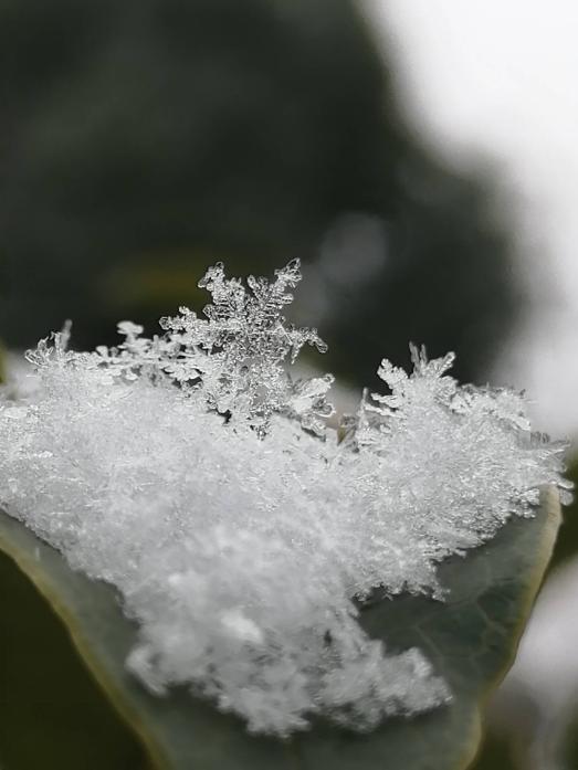 大雪纷纷寒潮至 扫雪防冻保安全12.19_html_2ba8ddc.jpg