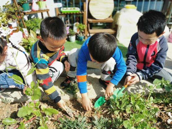 2023.3.11植树节报道_html_7d77edb3.jpg