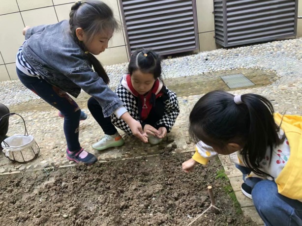 2021.1.14 王婷、李婷 秀一课程故事_html_2ba6b57.jpg