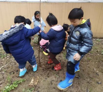 我与小树共成长_html_m232a37df.jpg