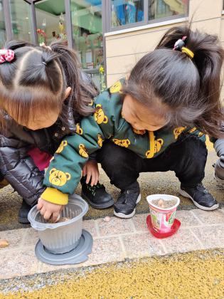 20210312新城植树节活动_html_m1a559fa9.jpg