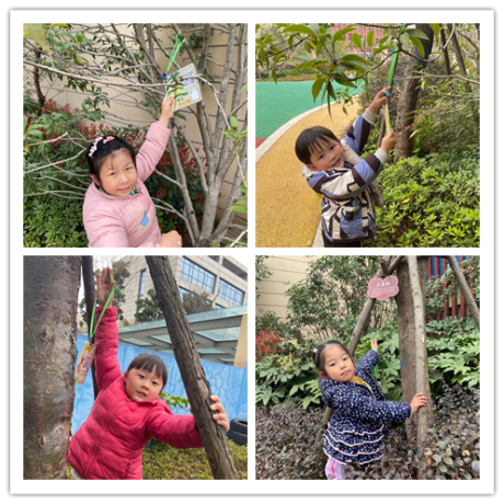 20210312新城植树节活动_html_m361a163b.png