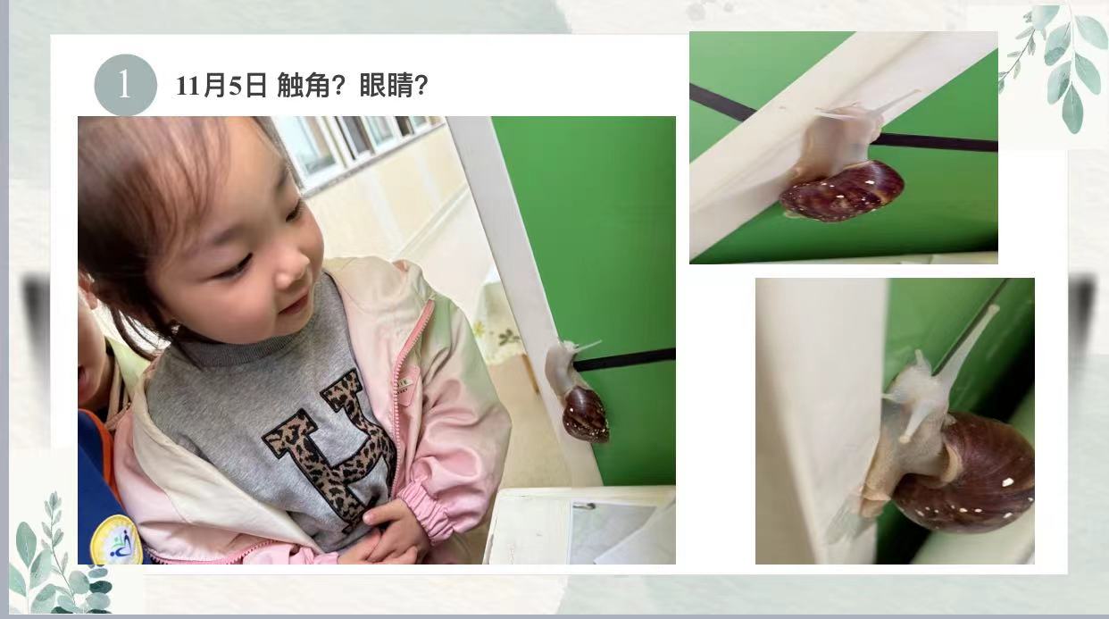 【20241231生活燕幼·园区动态】下庙分园：“班本源于生活，课程助力成长 ”——班级项目课程终期汇报暨评比活动_html_12454ea5.jpg