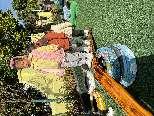 20241230户外体能运动大循环园本研训_html_m3fcf9c20.jpg