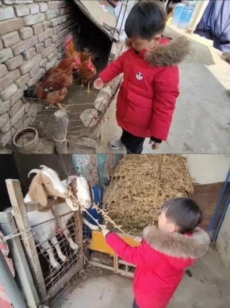 20240220【生活燕幼·园区动态】“新年齐动手，劳动乐无穷”——幼儿寒假日常生活劳动实践活动_html_6452c1dd.jpg