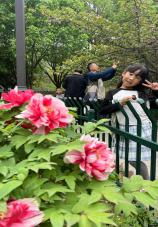 20240419【生活燕幼·班级动态】燕幼中心园：雨生百谷——大二班谷雨节气活动_html_m75177b9a.jpg