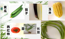 2021祥和园区科学组教研活动_html_356ff4e3.png