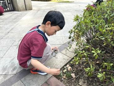 【生活燕幼·园区动态】下庙分园：“春日寻芳，趣探自然”——春日研学活动_html_2da8a430.jpg
