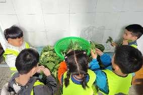 20250430【生活燕幼·园区动态】中心园： “快乐打工记” ——劳动节职业体验活动_html_66a08ecc.jpg
