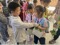 20240514【生活燕幼·年级组动态】燕幼中心园：花开有时，衔接成长——大班年级组参观小学活动_html_md9a0451.png