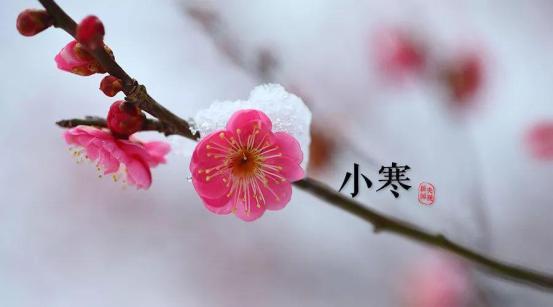 园区动态_html_m2a12c5ef.jpg