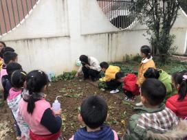 20201224祥和园区种植团_html_m6cae521f.jpg