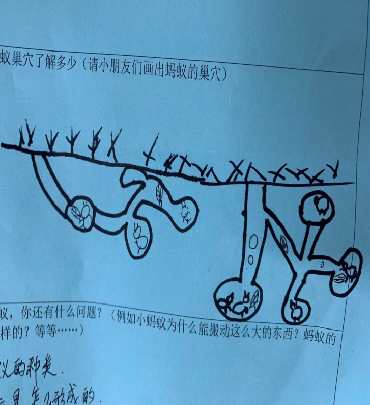 20210113【班级动态】大一班项目课程分享——蚂蚁探秘之旅_html_m3fc2136c.png
