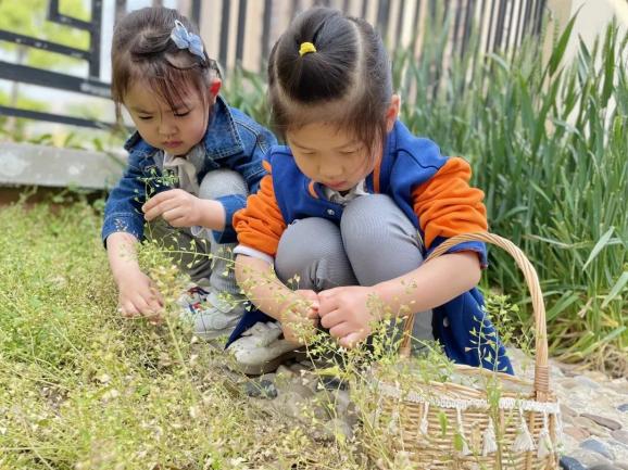 20230420【生活燕幼·园区动态】燕鸣苑分园：“雨生百谷，暮春将夏”——舌尖上的节气之谷雨_html_m1345ceae.jpg