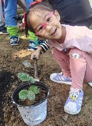 20231015燕子矶幼儿园亲子劳动实践营活动_html_6c74933d.jpg