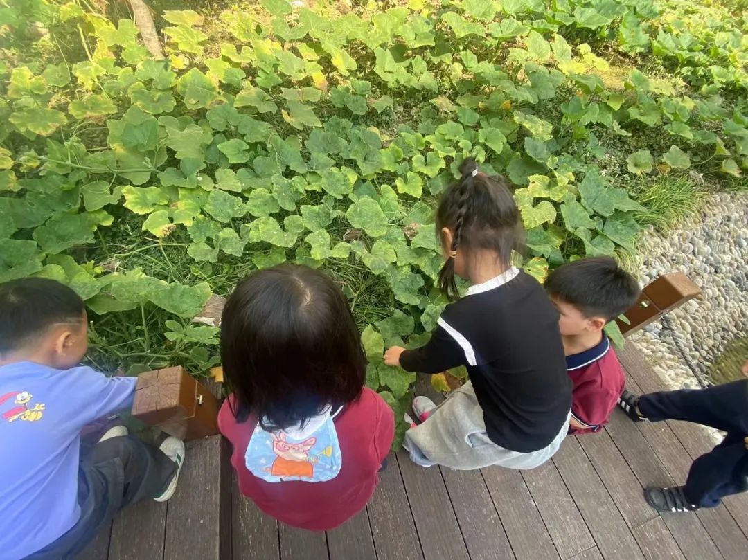 20231016 【生活燕幼·园区动态】燕鸣苑分园：“童心童智 童议童趣”——小桃子议事会第七次会议_html_46936da.jpg