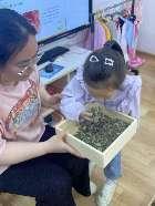 20230607端午节活动_html_7b0918f.jpg