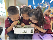 20240607【生活燕幼·园区动态】“五月初五 端午安康”——燕幼燕鸣苑分园端午节活动_html_29da5eec.png