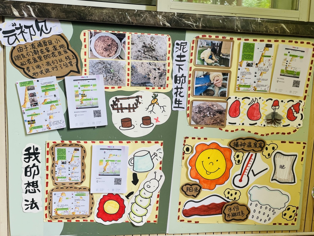 20220614【园区动态】下庙园区：“播种希望 收获成长”——班级种植墙评比活动新闻稿_html_m54aec7e4.jpg