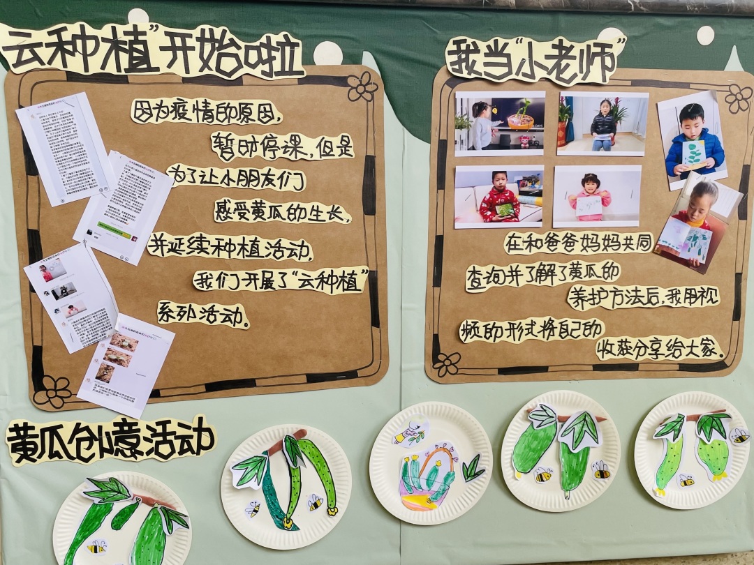20220614【园区动态】下庙园区：“播种希望 收获成长”——班级种植墙评比活动新闻稿_html_m757dd325.jpg