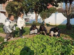20230224燕幼中心园：新学期，新变化_html_388b98cd.jpg