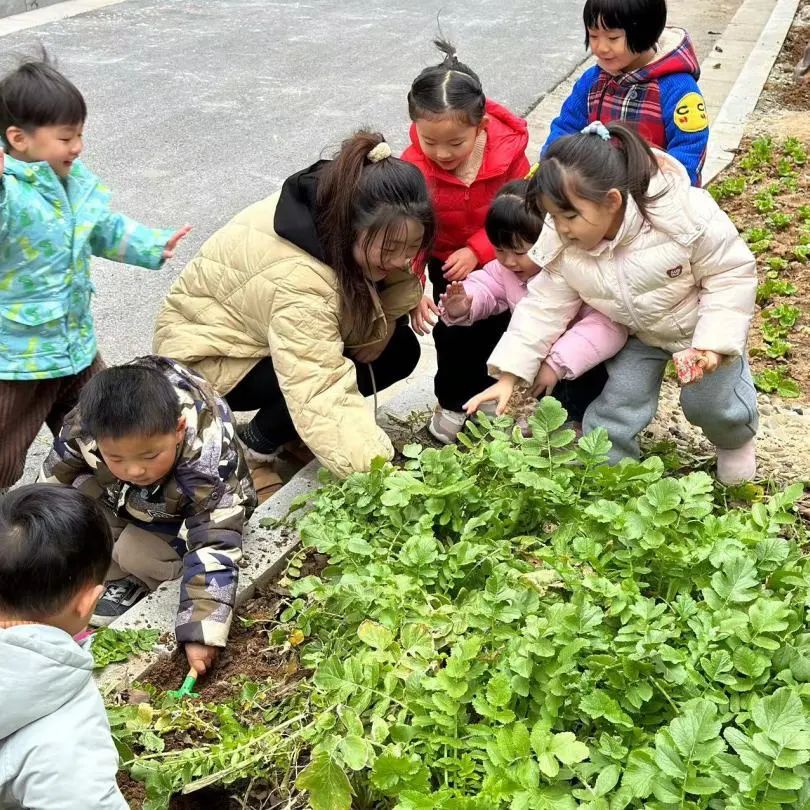 20230217【生活燕幼&middot;园区动态】燕鸣苑分园：一朝春雨 万物清明——雨水节气活动_html_m4822b6fc.jpg