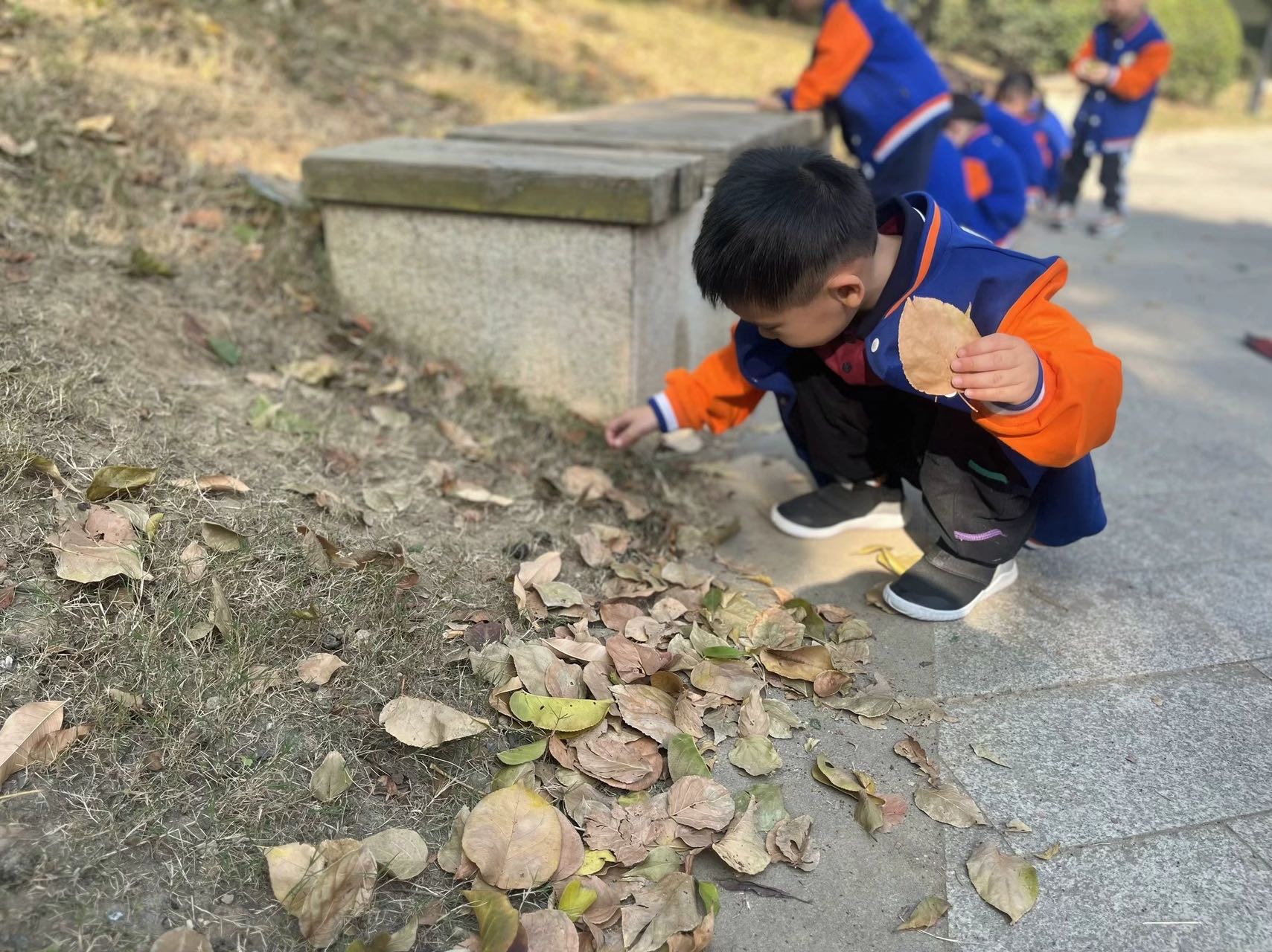 【生活燕幼·年级组动态】下庙分园：“走进公园，收集秋意”——小班组社区活动(1)_html_bf1c443.jpg