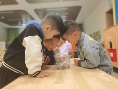 【生活燕幼&middot;教科研动态】 潜心教研　共促成长——科学组公开课教研活动_html_m48ac61c0.jpg