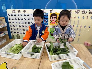 【生活燕幼&middot;教科研动态】 潜心教研　共促成长——科学组公开课教研活动_html_m15d48ffb.jpg