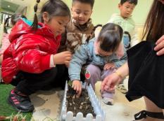 20250623【生活燕幼·园区动态】新城分园：家校携手育幼苗，多元活动促成长——家长资源团活动纪实_html_50bb58bb.jpg