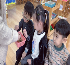 祥和园大班项目课程种植蚕豆新闻稿(1)_html_m7cbc9e69.png