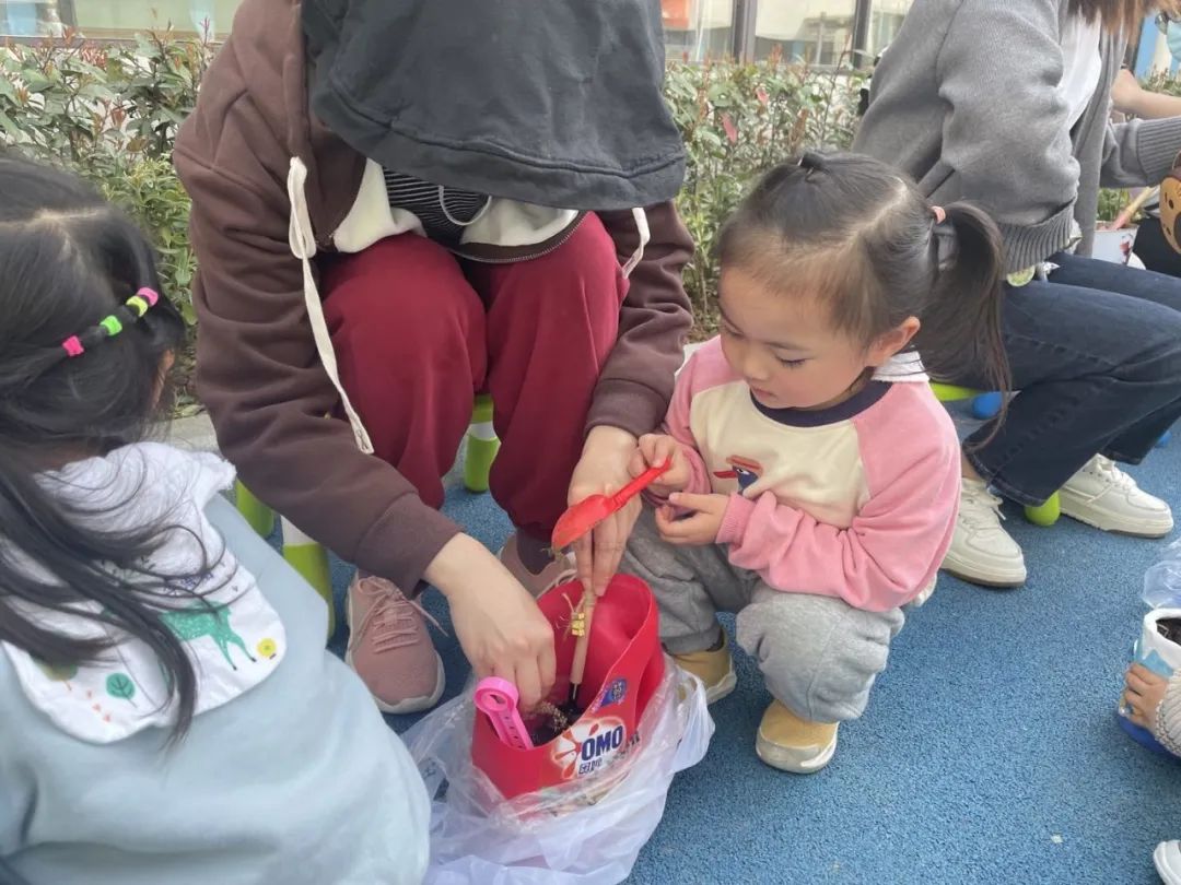 20230328【生活燕幼·园区动态】燕鸣苑分园：趣探惊蛰 万物新生——记小二班惊蛰节气活动_html_mf49d9d5.jpg