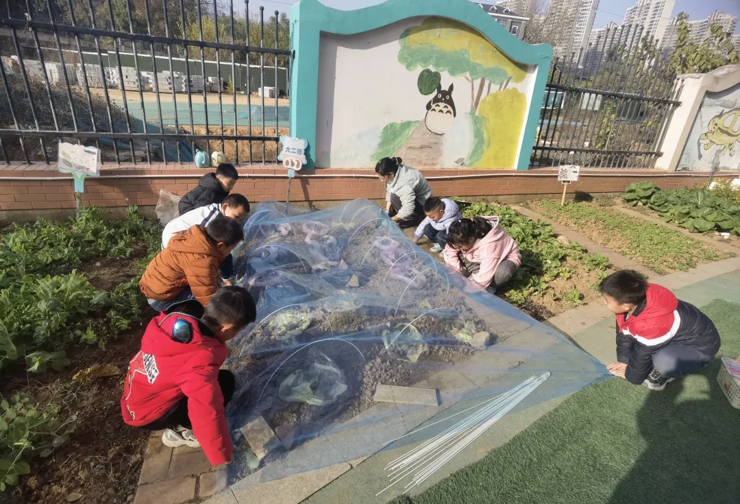 【生活燕幼·园区动态】下庙分园：“大雪至，寒冬始”——大雪节气活动_html_m774c3a4b.jpg
