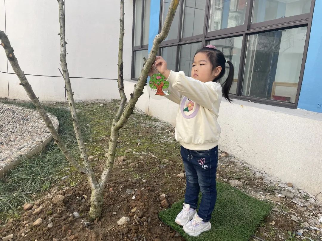 【生活燕幼·园区动态】燕鸣苑分园：“春”满燕鸣——植树节活动_html_m226e73d6.jpg