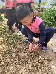 2023.03.09燕幼中心园 大二班 惊蛰节气活动_html_34edc2e0.jpg