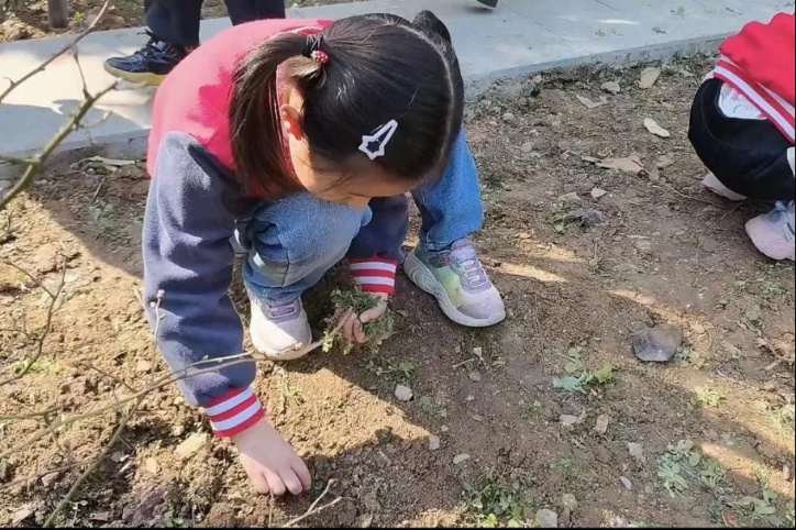 20230312新城园种植月破土日活动_html_m61f3fb53.jpg