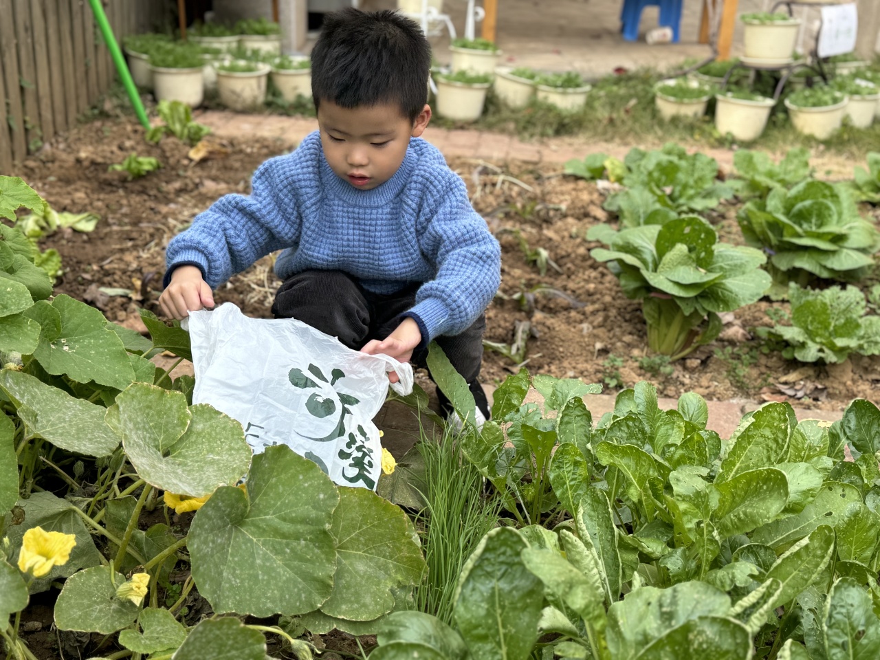 20231122【生活燕幼·园区动态】下庙分园：“轻盈小雪至，童心暖寒冬”——小雪节气活动_html_m290c8c30.jpg