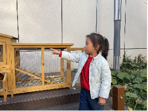 20231121【生活燕幼·园区动态】“童”参与 “童”议事——小桃子议事会第十次会议_html_mc8be08a.png