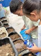 20240906【生活燕幼·园区动态】中心园：“秋风生白露，露至秋意浓”——白露节气活动_html_6f8b3bee.jpg