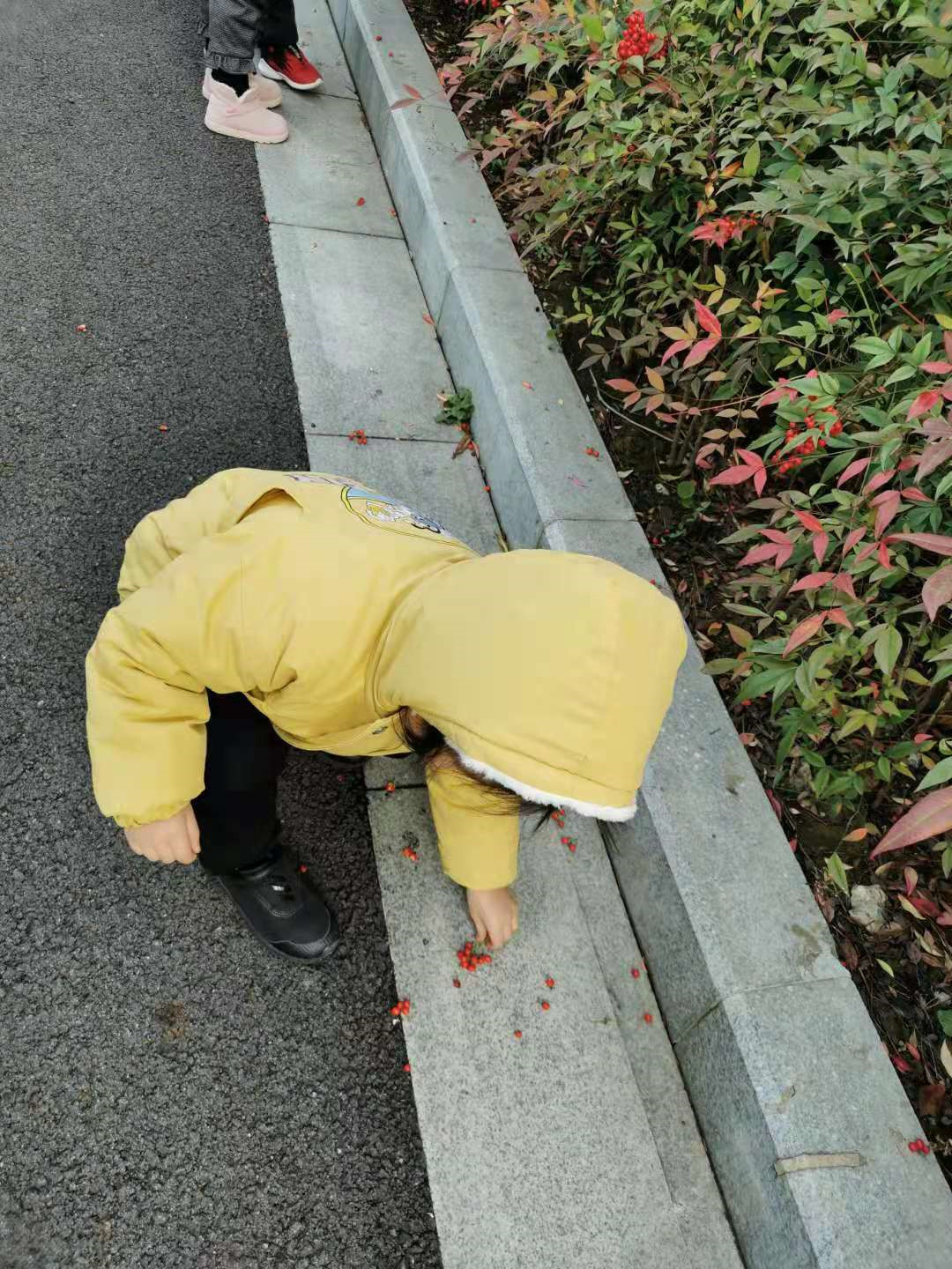 图片 5.jpg
