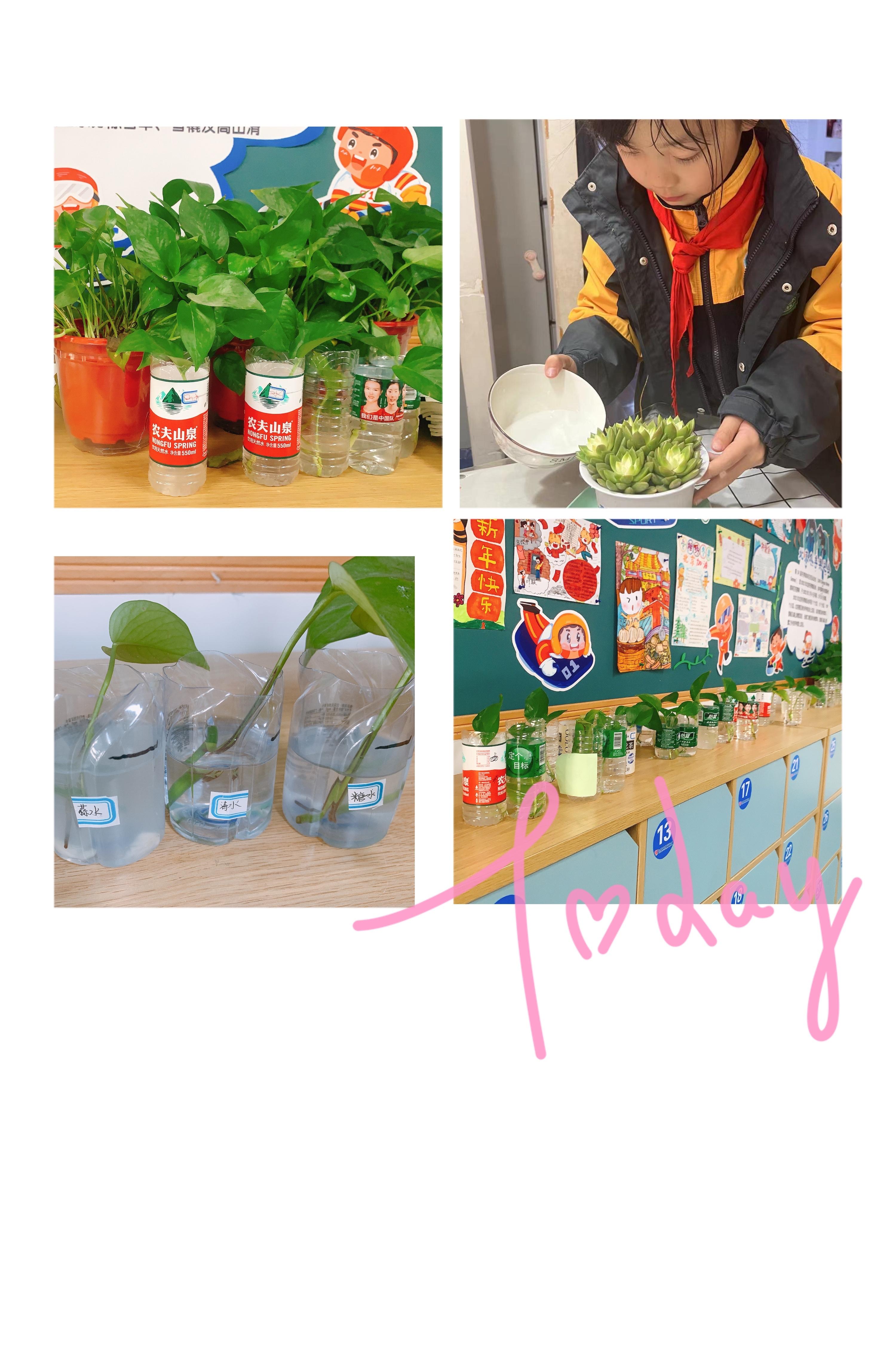 植树节新闻稿_html_7faa59b8.jpg