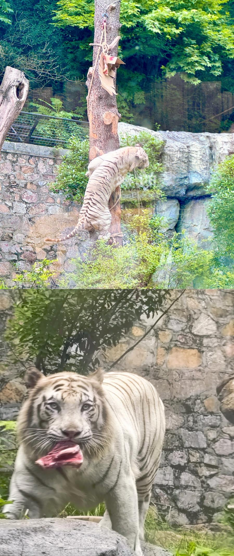 图片18.png