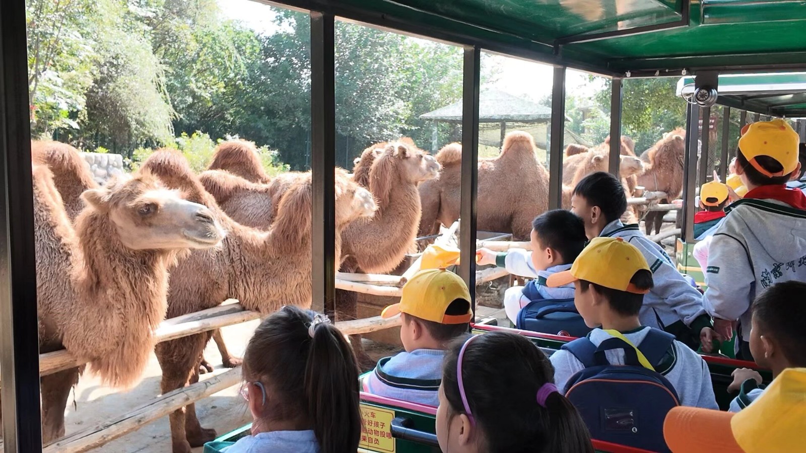 一二年级 (13).jpeg