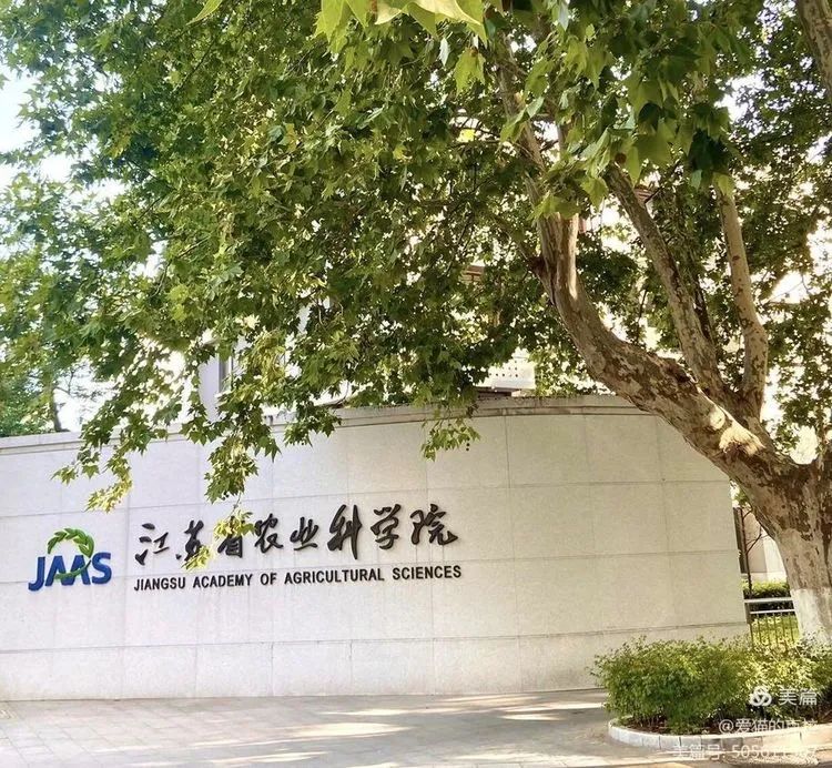 临时_html_6c850505.jpg